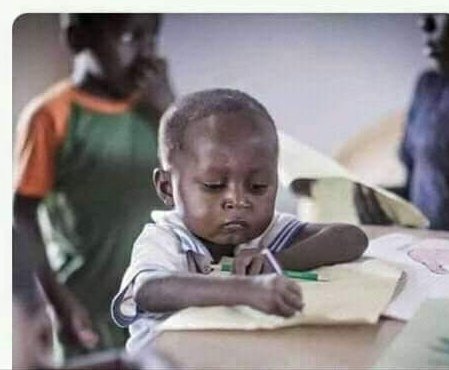 Jacity_the_Bee tweet media