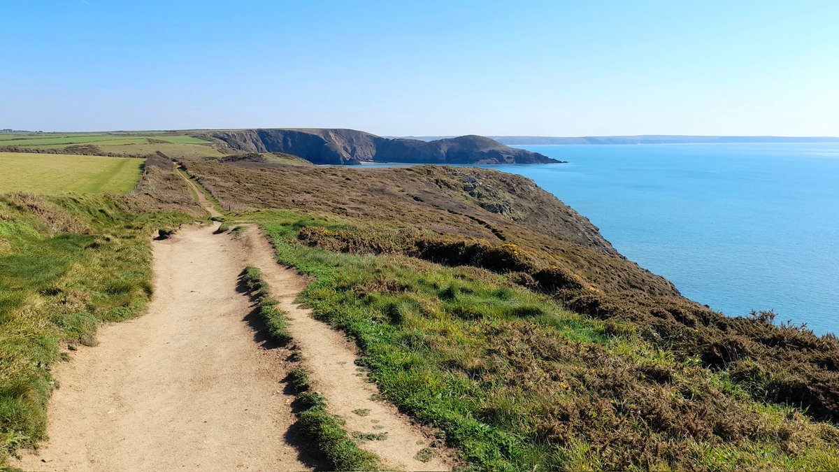 cbarterdavies's tweet photo. The mud on the coastpath has just about dried out after a wet winter ๐ฅพ๐ฆ๐ฅพ But for how long? ๐ค๐ฟ๐ค #Solva #Solfach ๐ด๓ ง๓ ข๓ ท๓ ฌ๓ ณ๓ ฟ #TodayShots ๐ธ https://t.co/bxWszrlbdm