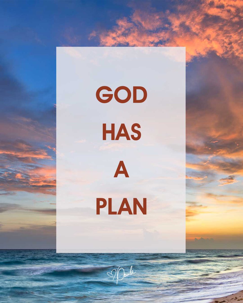 Paula White-Cain tweet media