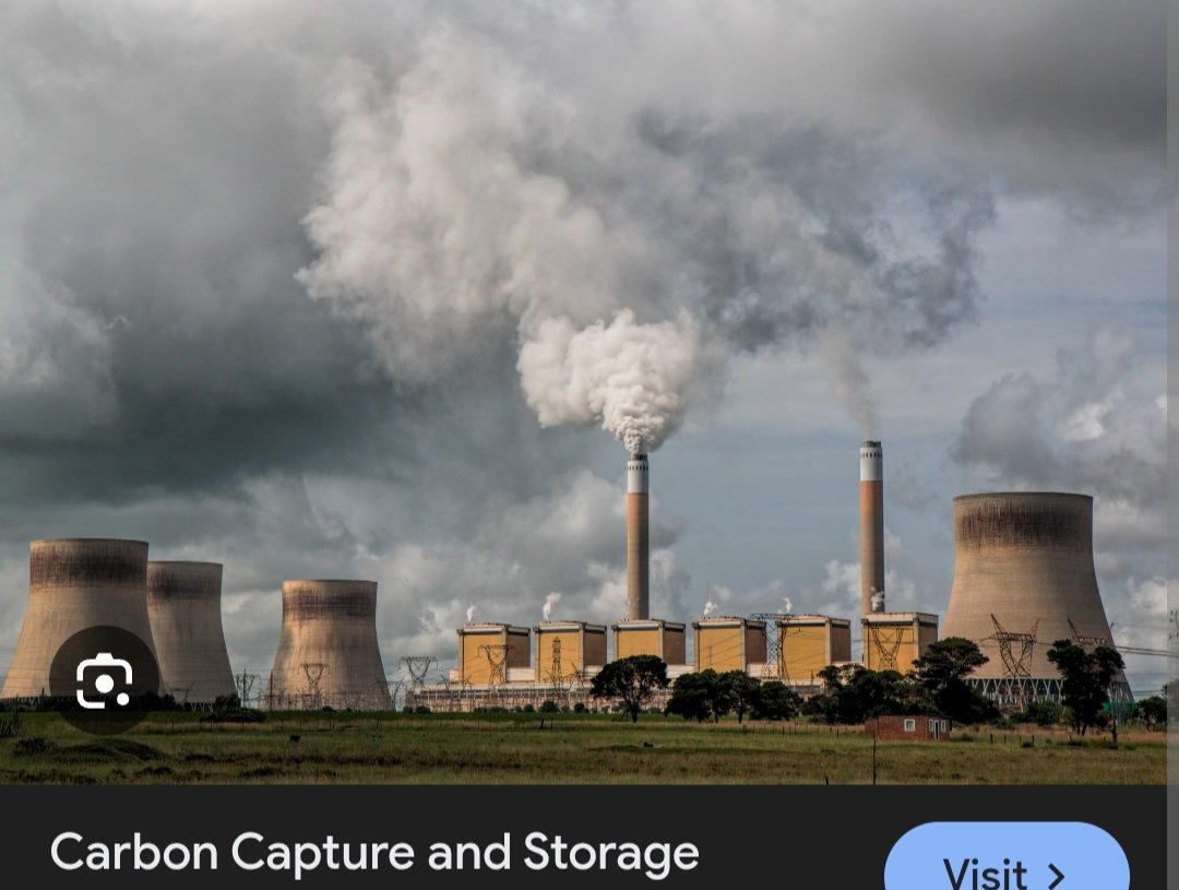 Jesse Lynn♥️ tweet media