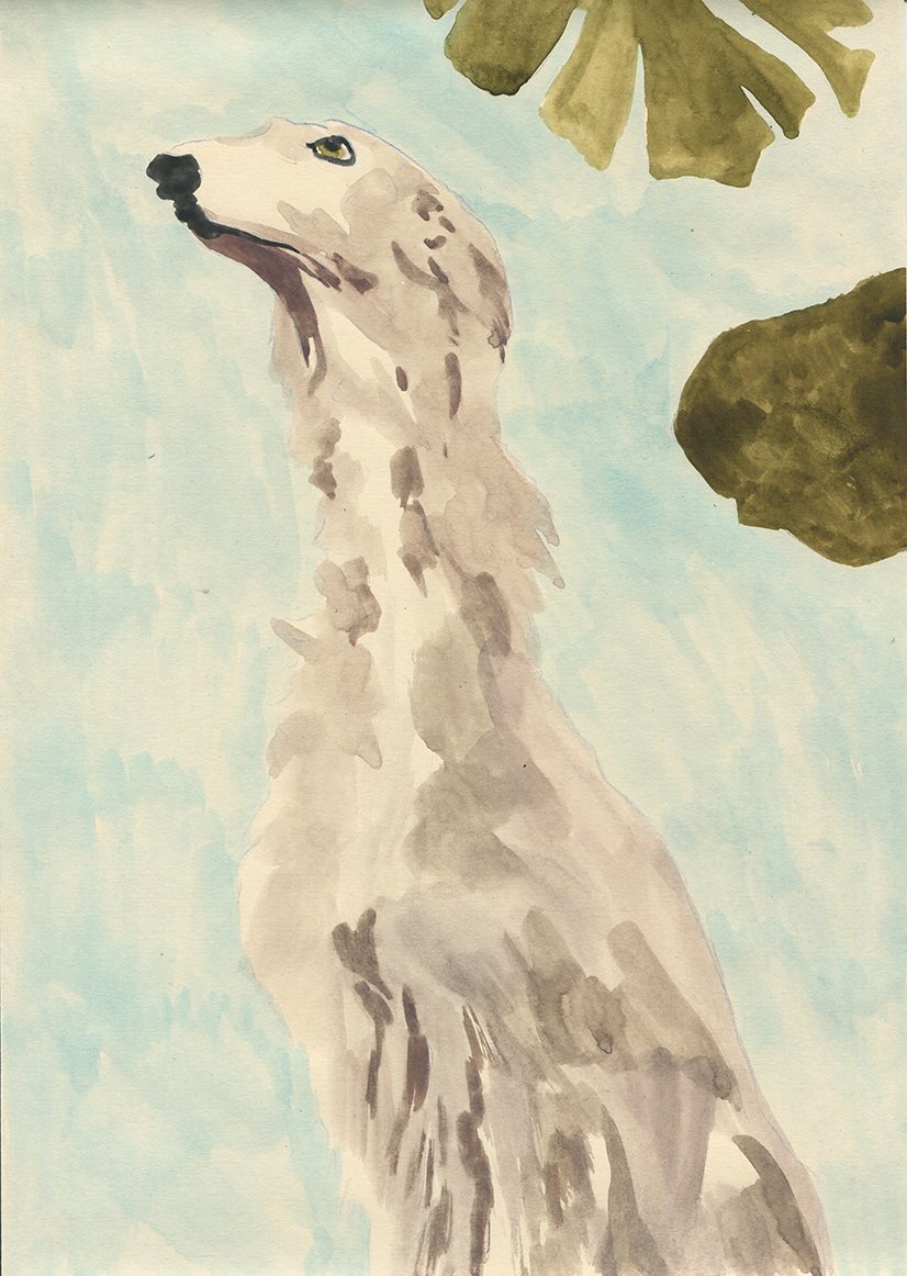 노상호 tweet media