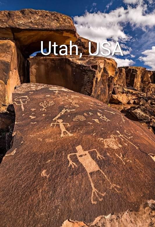 nativewarrior tweet media