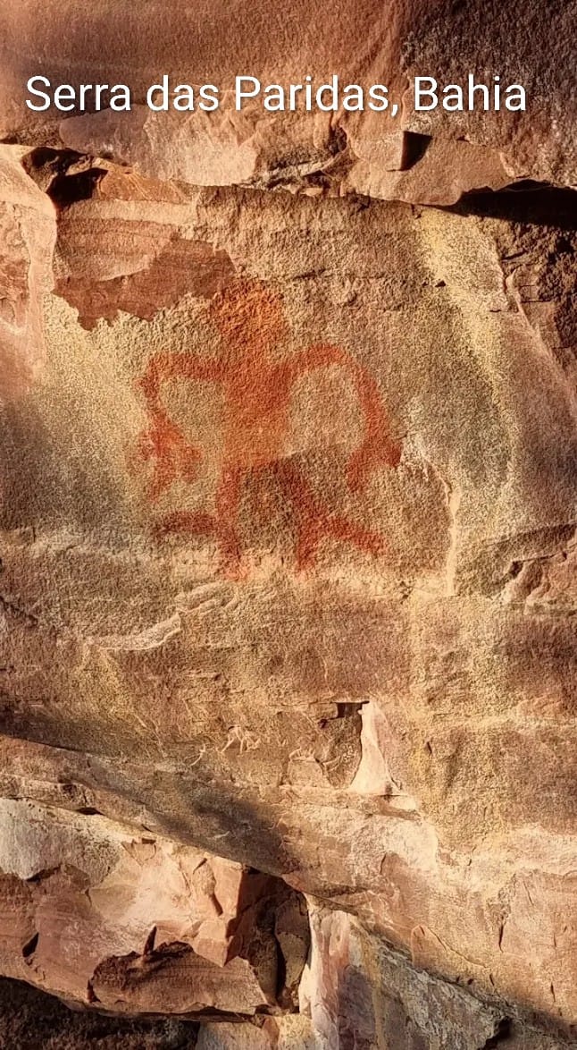 nativewarrior tweet media