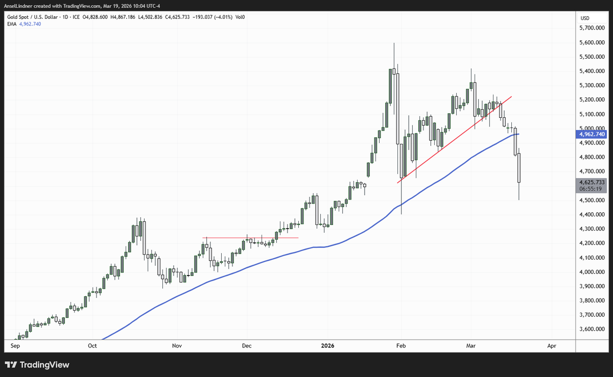 RogueMacro tweet media