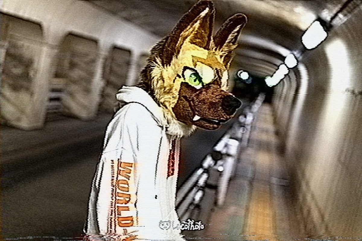 Dau.だぅ tweet media