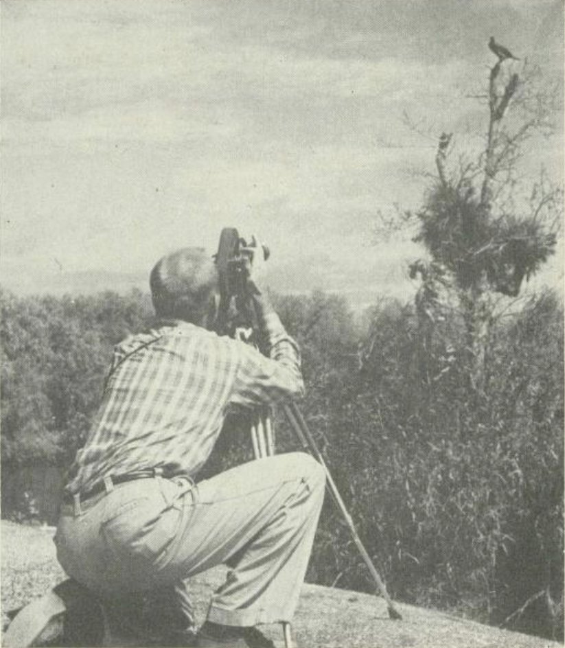 America250FL tweet media