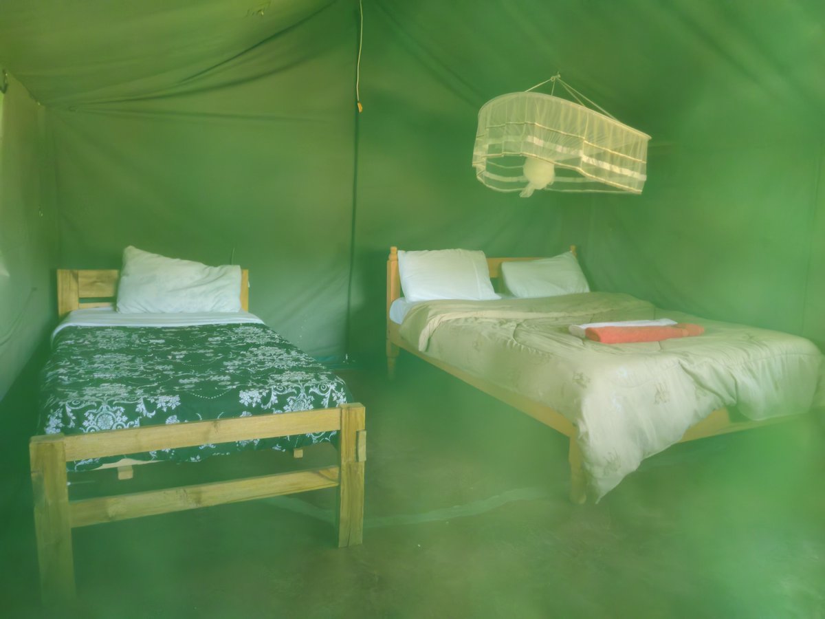 Goshen Mara Camp in Masai Mara is a camp to look out for incase you prefer a budget-friendly accommodation.
#masaimara #budgetcamps #TrendyolSüperLig
