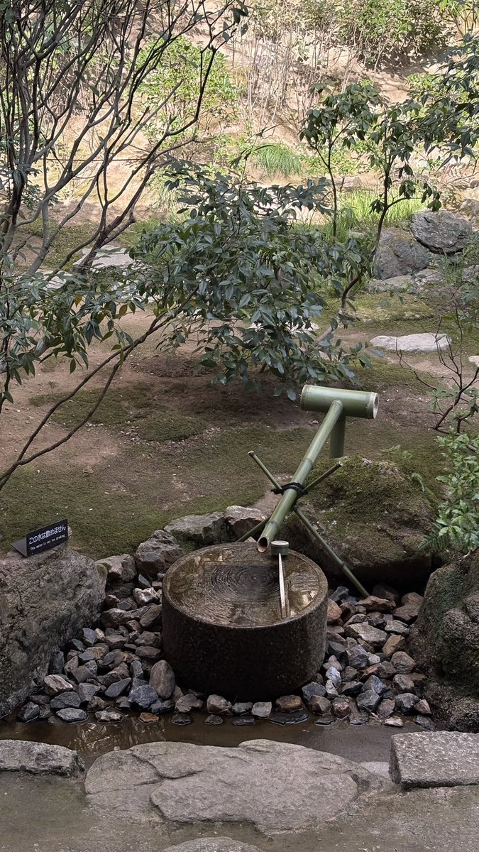 riraru_kun's tweet photo. in 京都 https://t.co/iNNyi1Rw8I