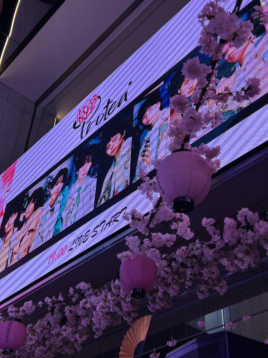 鈴木博貴 【Protea*】7/20 ワンマンライブ@Zepp Shinjuku(TOKYO) tweet media