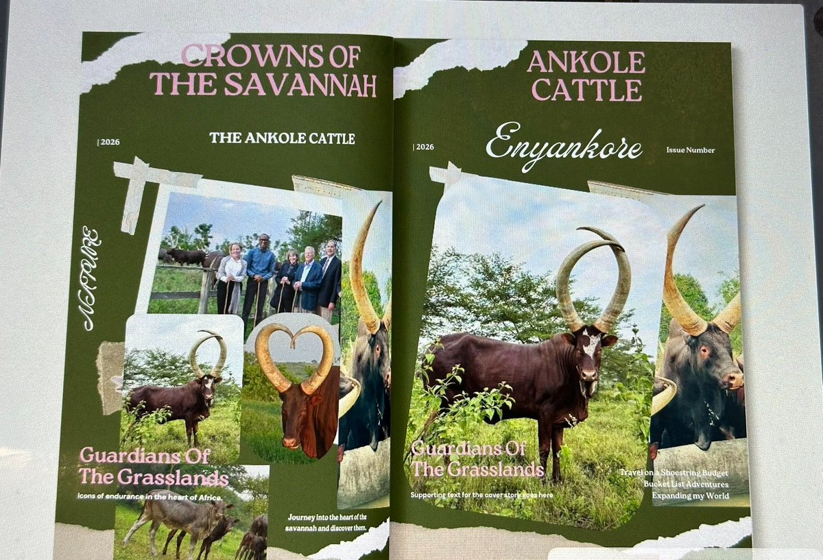 Beyond the Big Five: Experience the Grace &amp; Power of Ankole Cattle in Their Homeland.<a href="/exploreu/">Anne Mancilla</a>