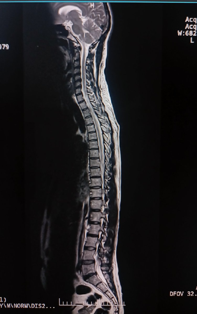 Miss_Radio_Talks ☢️🐣 tweet media