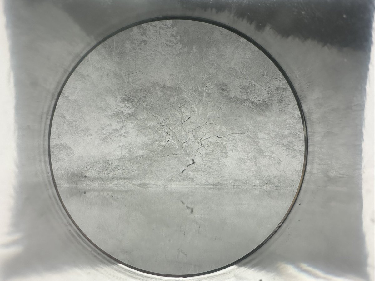 莓有好天气 tweet media