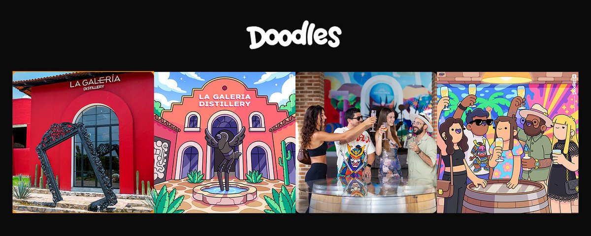 MBA Memo🪱🦍 tweet media