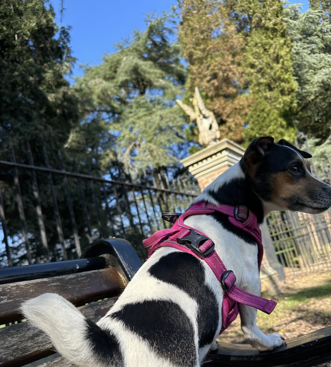 SIP Vicious II tweet media