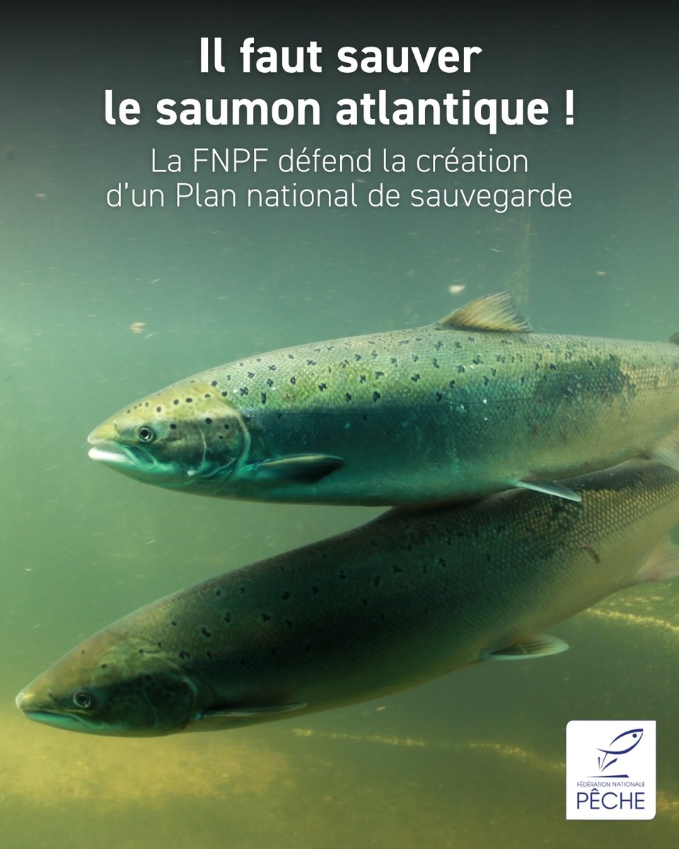 Fédération Nationale de la Pêche en France tweet media
