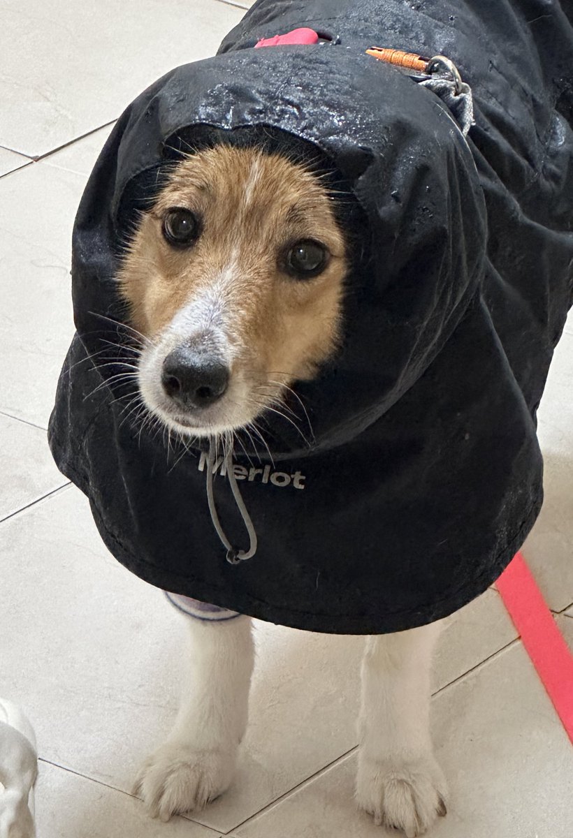 김수수 tweet media