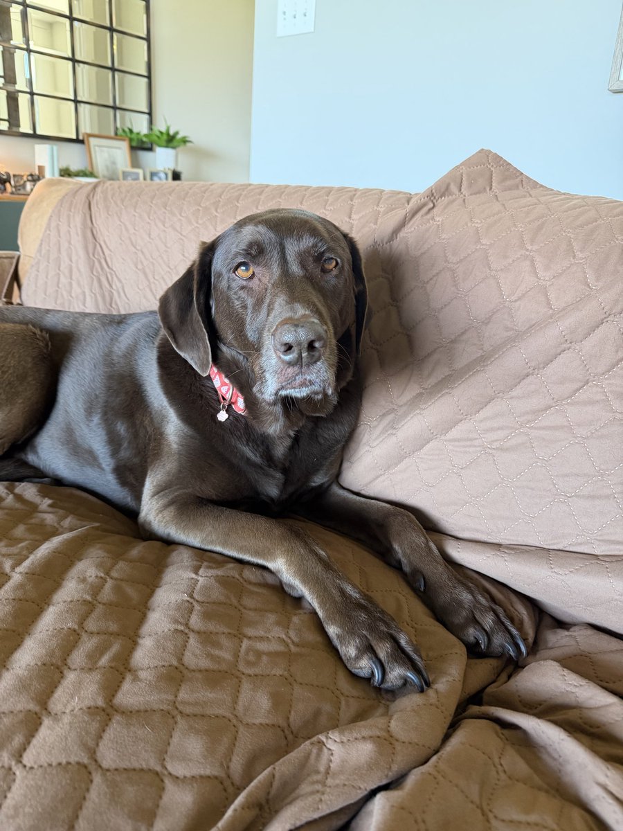 BKB, CPA tweet media