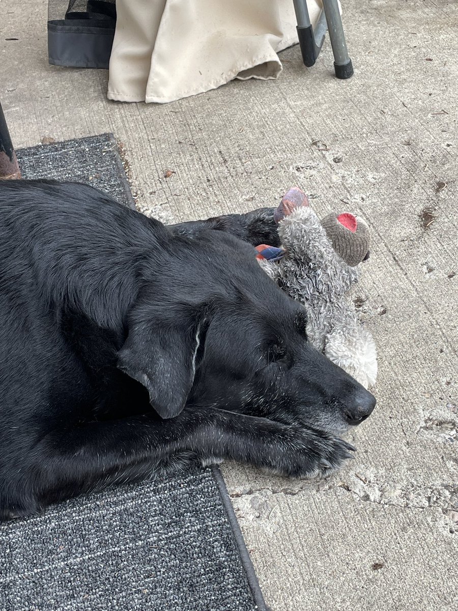 Albertagirl62 tweet media