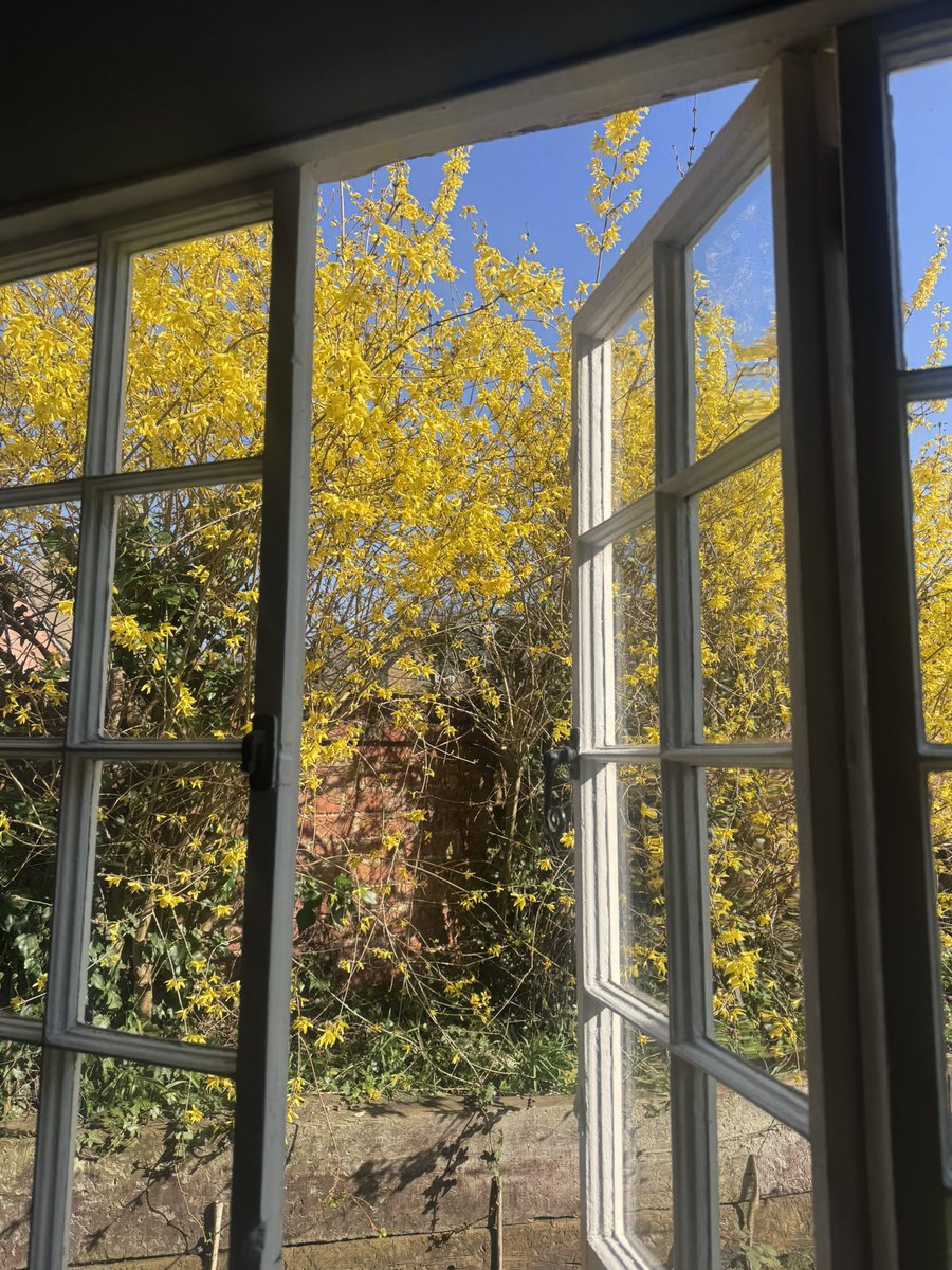 Current view! ☀️❤️