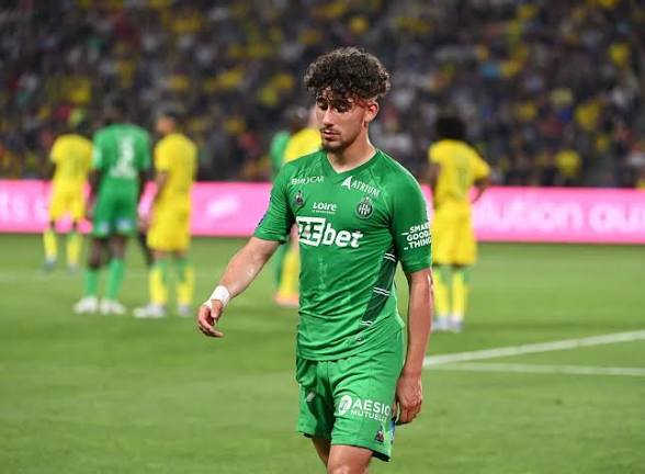 Renard Des surfaces tweet media