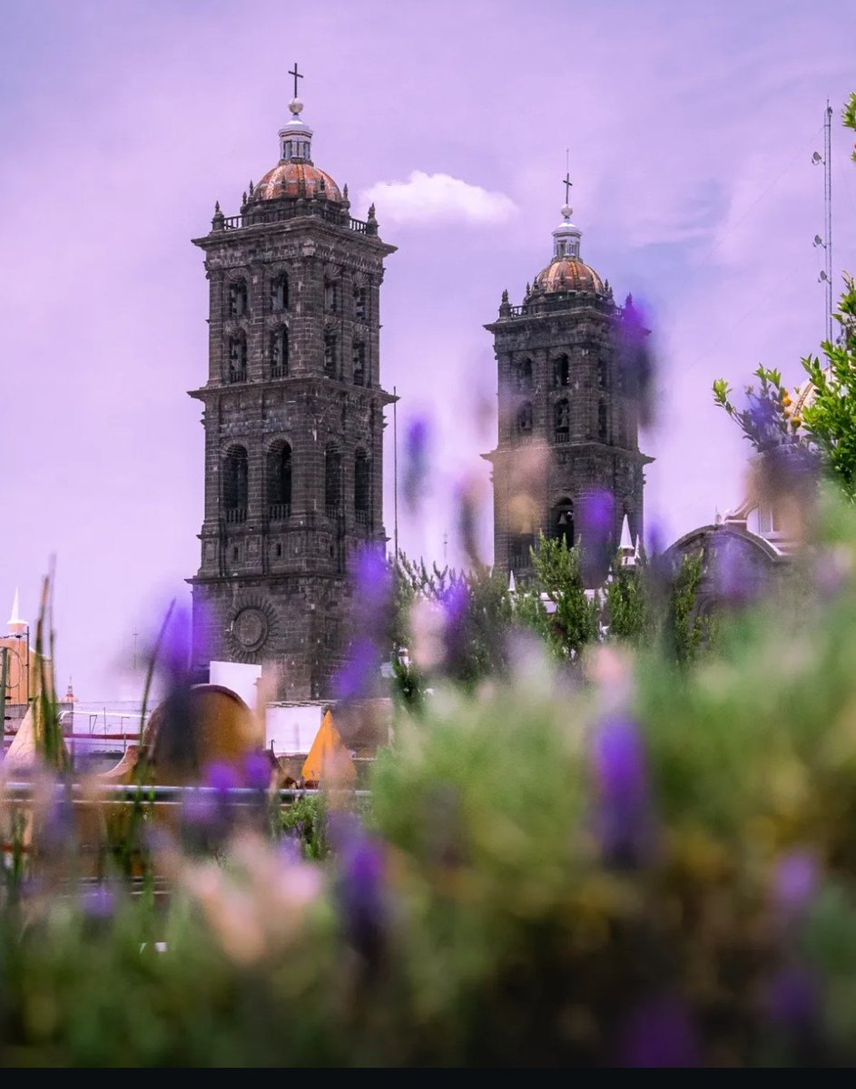 Silvia Argüello tweet media