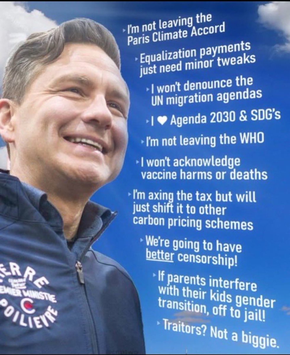 Chris McGilton tweet media