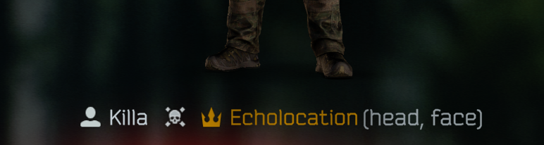 Echolocation 👧 tweet media