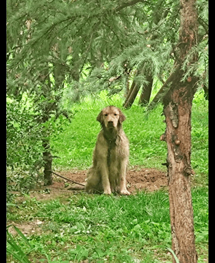 Maria Malceva tweet media