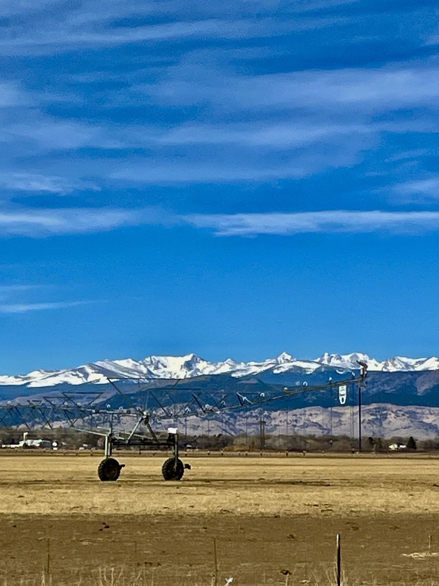 studentoflife tweet media