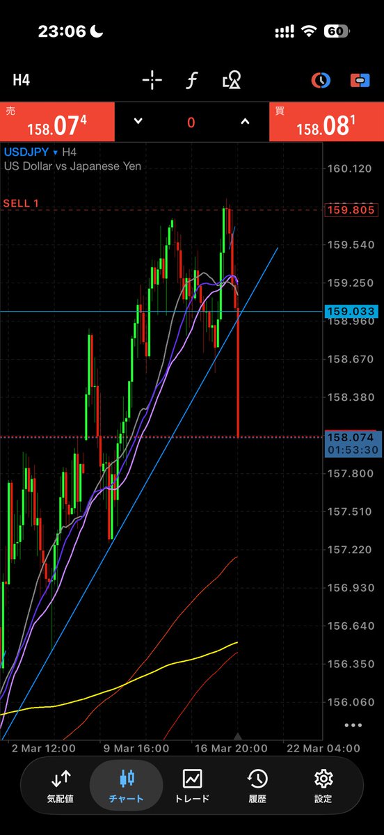 とも🐲 tweet media