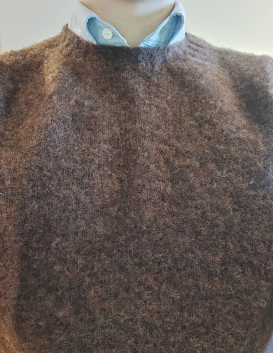 Herr Weejun tweet media