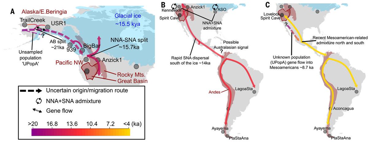 Compelling Archaeology tweet media