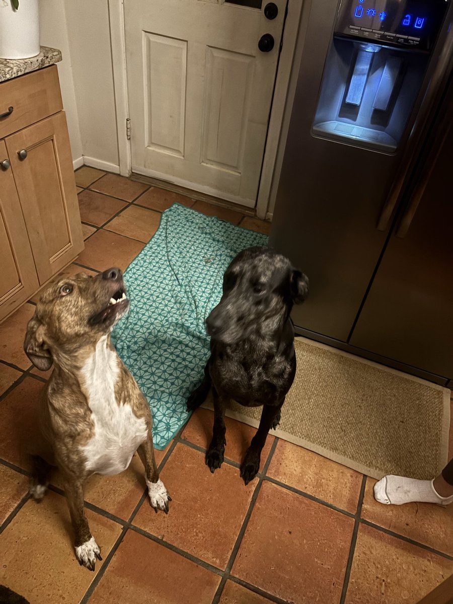 ExiledKetchup tweet media