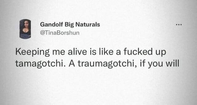 Magical Buffet tweet media