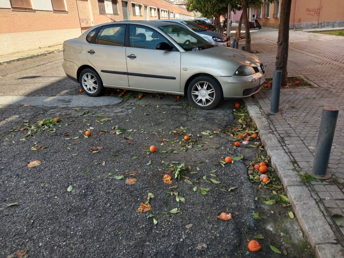 A.VV.PUERTOdeSEVILLA tweet media