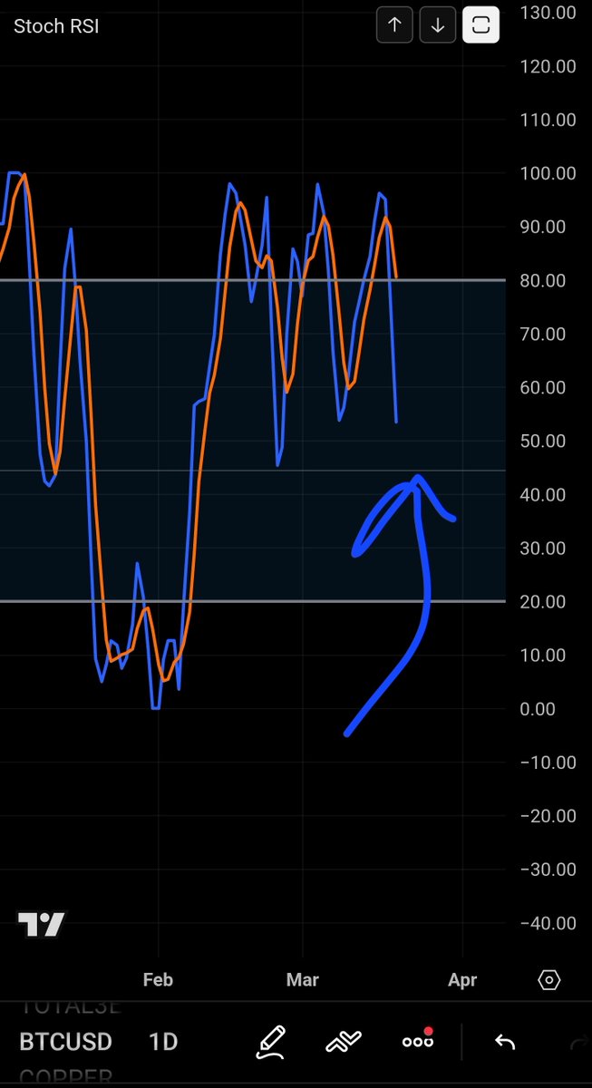 T. Cryptus tweet media