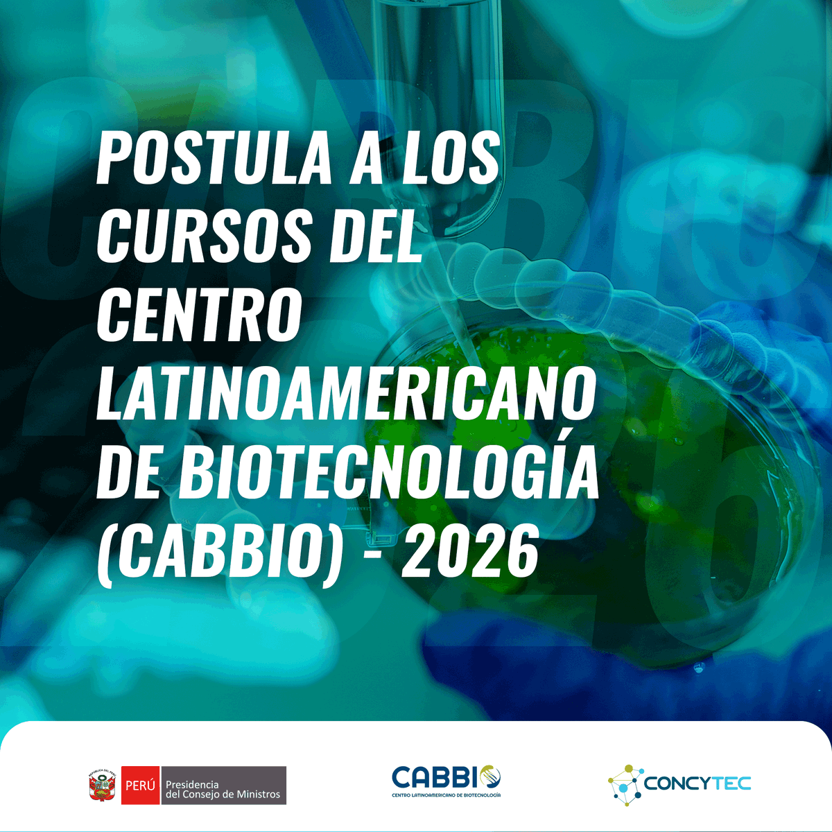 Concytec Perú tweet media