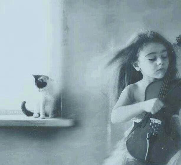 @Maria_Kessler14 tweet media