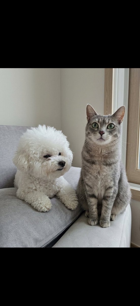 딸기츄 tweet media