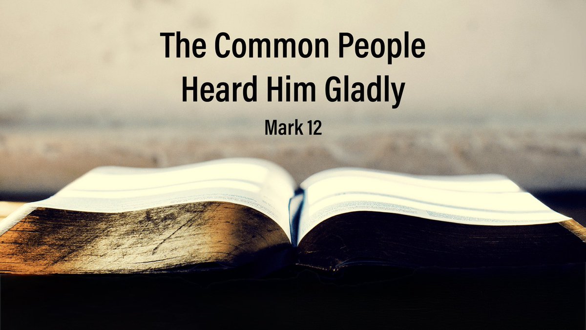 Jim Suttle tweet media