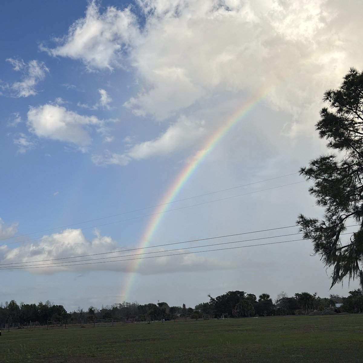 𝚜𝚔𝚘𝚋𝚎𝚎 ☻ tweet media