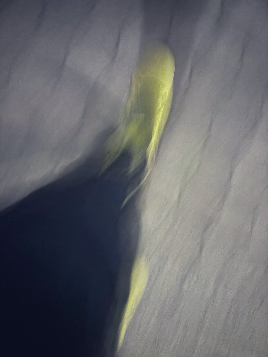 らべる tweet media