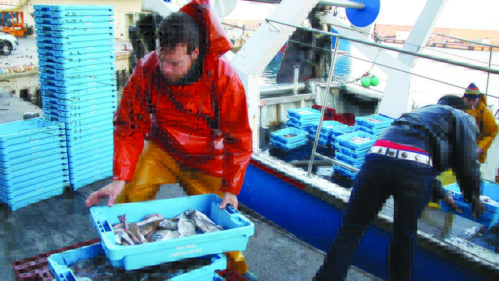 Setmanari L'Ebre tweet media