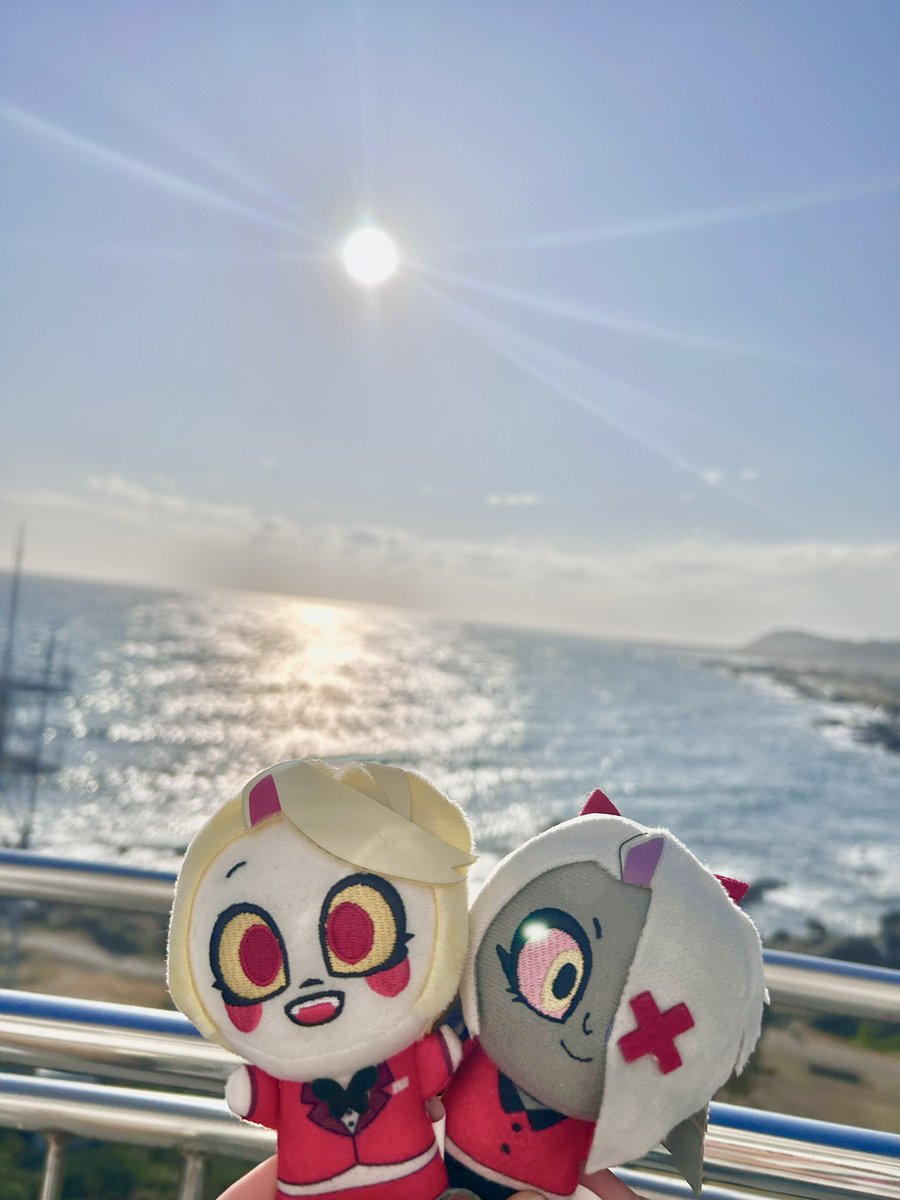 花見鳥 tweet media