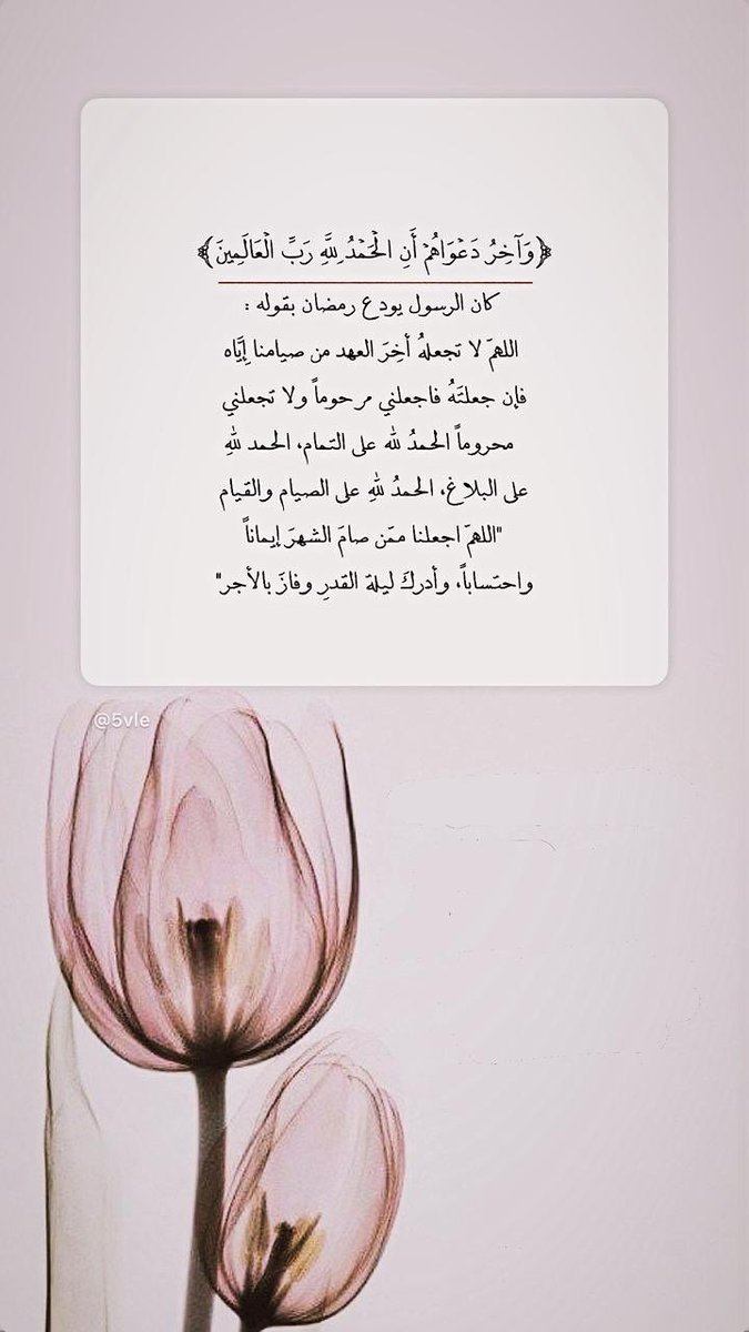 صورة tweet media