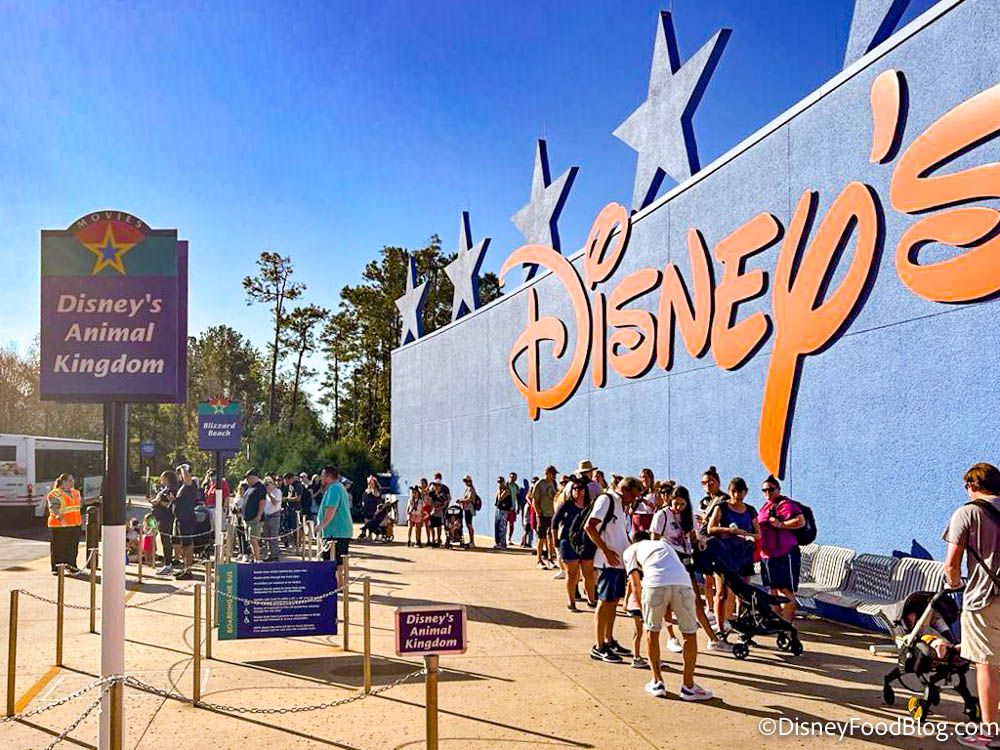 Disney Food Blog tweet media