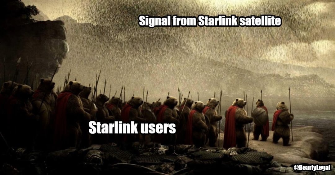 Mitu King 🐻 tweet media