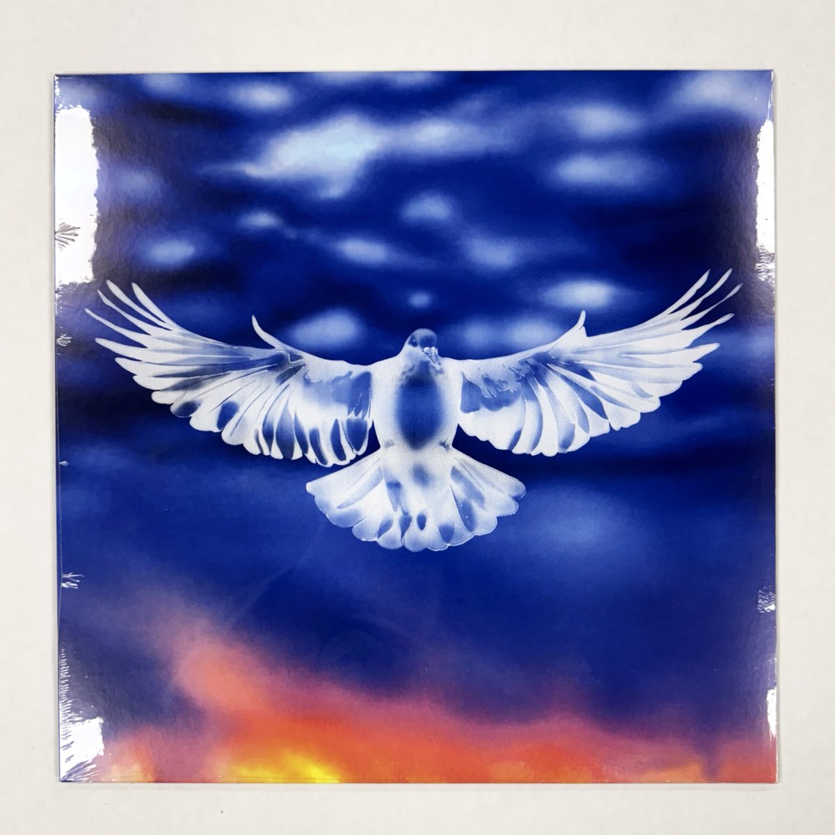 Forced Exposure tweet media