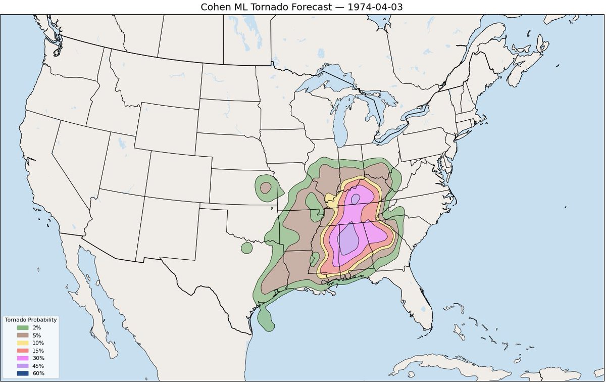 Grace Cohen 🌪️ tweet media