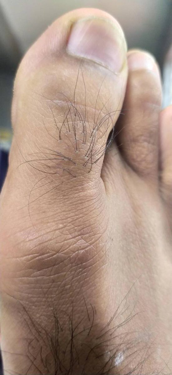 TheBetterPath tweet media